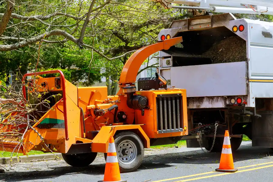 How Tree Removal Enhances Safety In Residential Properties Leesburg, FL